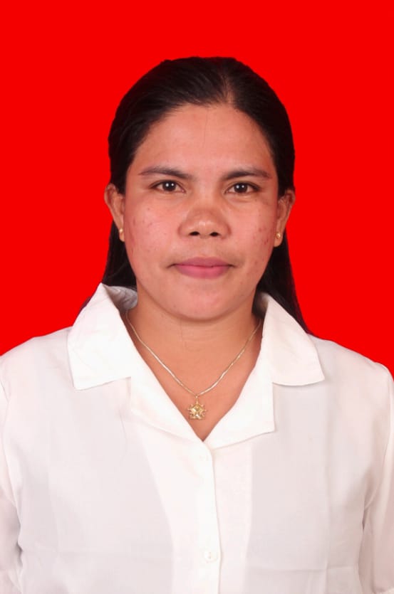 DEVINCE HARABI TAHI, S.PT